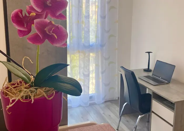 Ema Apartamento Pula