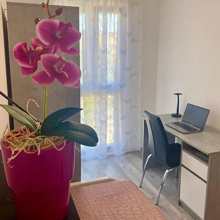 Ema Apartamento Pula